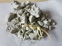 -TOYSRUS玩具反斗城(成都环球中心店)