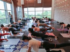 -lululemon(上海浦东IFC店)
