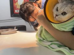 -御宝贝·A梦猫科宠物医院(国际猫友好医院)