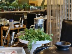 -烹然四季椰子鸡火锅(团结湖总店)