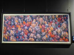 -罗红摄影艺术馆