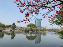 -无锡蠡湖国家湿地公园-蠡园