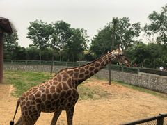 -石家庄市动物园