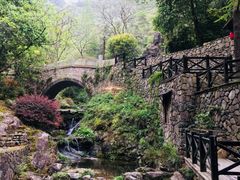 -宁海森林温泉