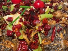 -老板恋上鱼(恒隆广场店)