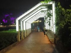 -潘塘公园