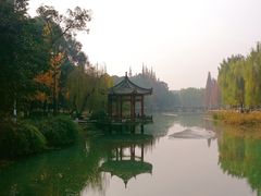 -温江公园