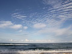 -黄金海岸