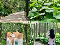 -洛阳白云山景区