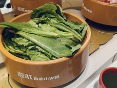 -龍歌自助小火锅(漳州二路爱购店)