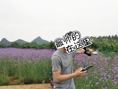 -会仙湿地