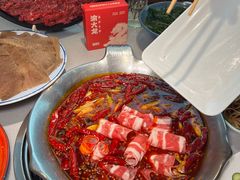 -渝大龙重庆火锅(温泉月亮湾店)