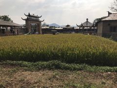 -米果果小镇