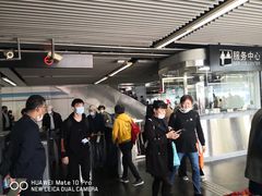 -上海月湖雕塑公园