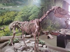 -陕西自然博物馆