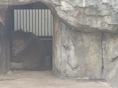 -南昌动物园