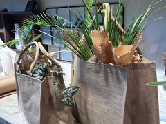 -自由生长植物工作室(深港花卉中心店)