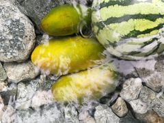 -虹口漂流