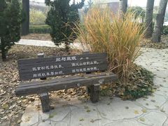 -北京麋鹿生态实验中心