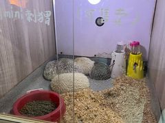 -嘉兴海底世界