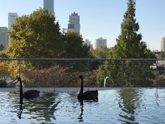 -行者书屋大堂吧 ·下午茶(南京圣和府邸酒店)