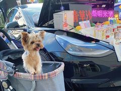 -近铁城市广场-停车场