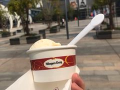 夏威夷果冰激凌-哈根达斯(深圳海岸城店)