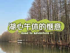 -上海海湾国家森林公园