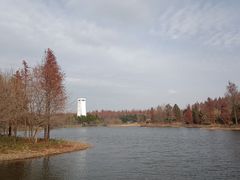 -东平国家森林公园