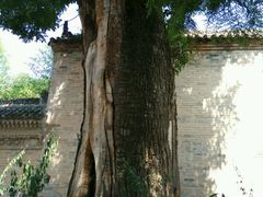 -西安关中民俗艺术博物院