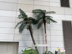 -上海第一八佰伴