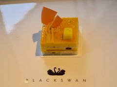 -BLACKSWAN黑天鹅(环球店)