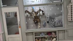 -贯日漂亮宝贝儿童摄影(红博中央公园店)