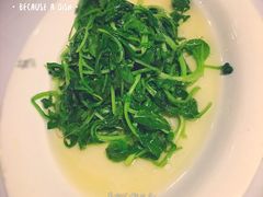 -苏浙汇(朝外店)