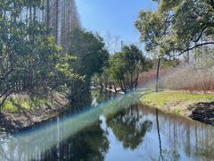 -上海滨江森林公园