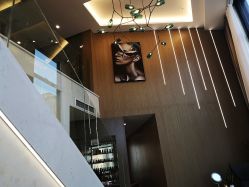 -美最美健康管理中心