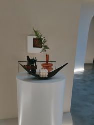 -VE专注问题肌·赛诺龙&科学美肤中心