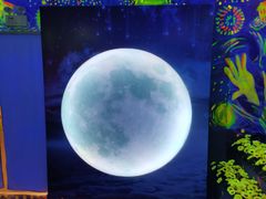 -天津梵高星空艺术馆(天河城旗舰店)