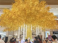 -友谊阳光城(金贸街道店)