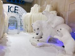 -宁波冰雪大世界(北仑区)