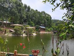 -泉州海丝野生动物世界