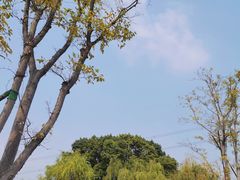 -长田漾湿地公园