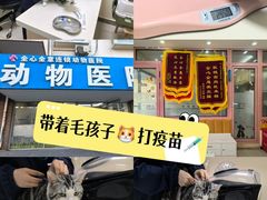 -全心全意连锁动物医院·微创中心·内科急重症·心脏专科(丰管路店)