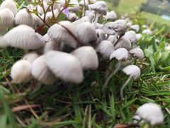 -盐帮食坊•小河帮川菜(四川师大店)