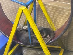 -太平洋海底世界