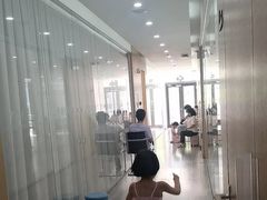 -中央芭蕾舞团·中芭艺蕾(酒仙桥明星校区)
