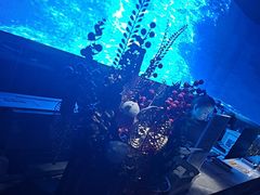 -鸿韵养生(白玉兰店)