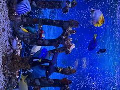 -太平洋海底世界