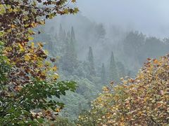 -青城山