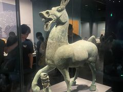 -广西壮族自治区博物馆